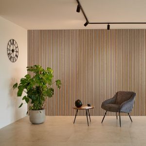 Panneaux Acoustiques 240x60