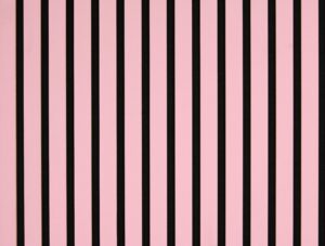 Panneaux Acoustiques Rose – 240×60